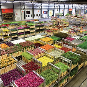 representatory image of industrial warehouse